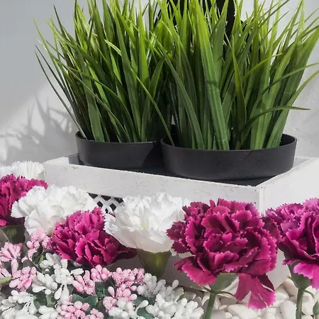 Σπίτι διακοπών Palm Πουέρτο Ντελ Κάρμεν