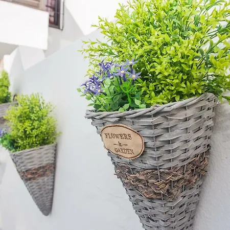 Palm Сasa de vacaciones