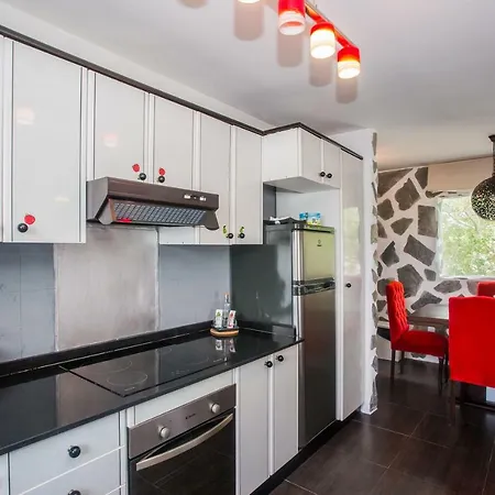 Palm * Puerto del Carmen (Lanzarote)