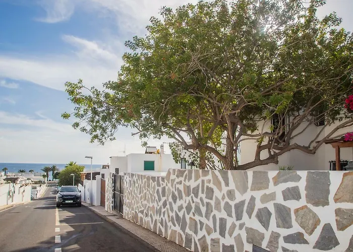 Palm * Puerto del Carmen