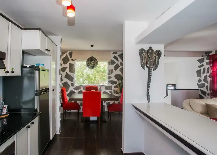 Palm Puerto del Carmen