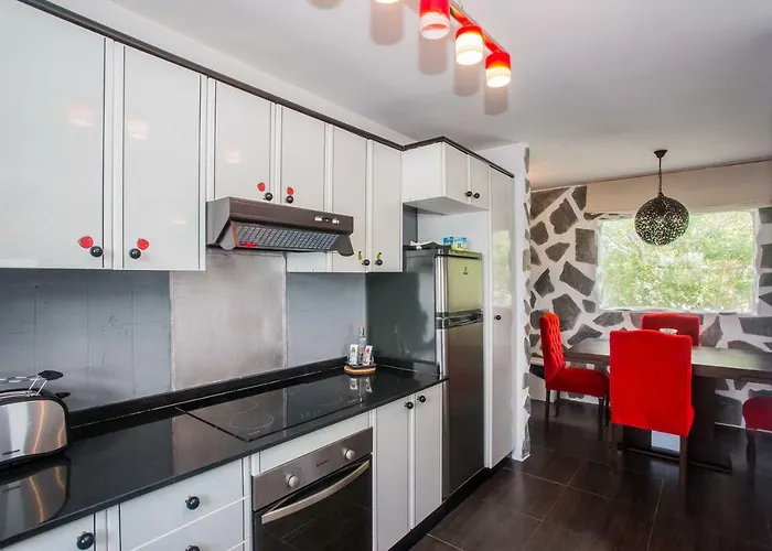 Palm * Puerto del Carmen